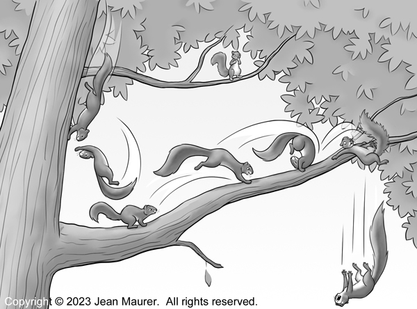 A cartoon illustration depicting one squirrel showing off for another squirrel up among the tree branches.  The showoff runs down the trunk, backflips to a branch, summersaults along it, misses the landing, and falls off the branch.  Movement is shown by a series of drawings of the same squirrel within one scene to show key positions in the string of his movement.  Motion lines help define the path of movement.  The second squirrel is watching from a distant branch with both concern and amusement.  